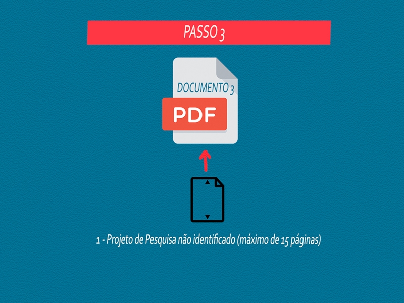 Passo 3